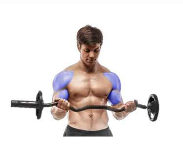 Captura de pantalla 2025-10-24 a la(s) 12.30.40 a.m.